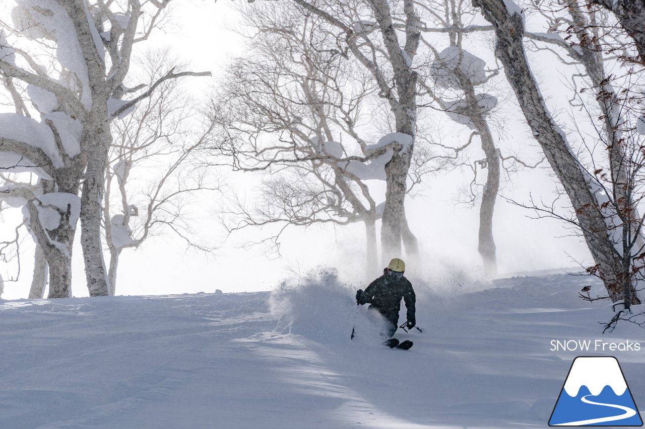 ニセコ東急グラン・ヒラフ｜積雪400cm！ニセコの『PowderSnow』を味わい尽くす、贅沢な時間♪